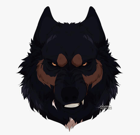asymmetrical expression