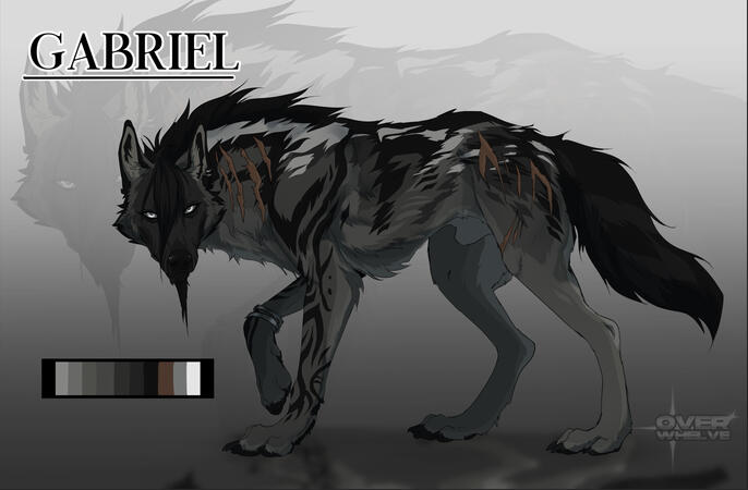 shaded ref + no additional shots