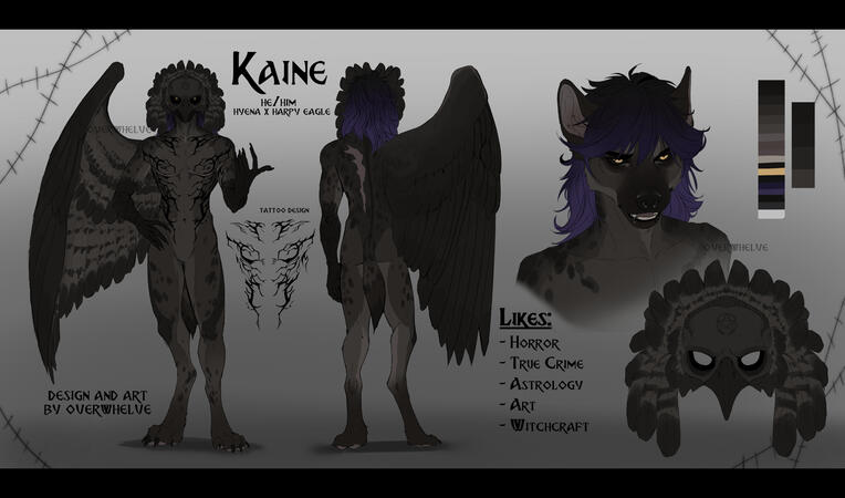 includes additional shots