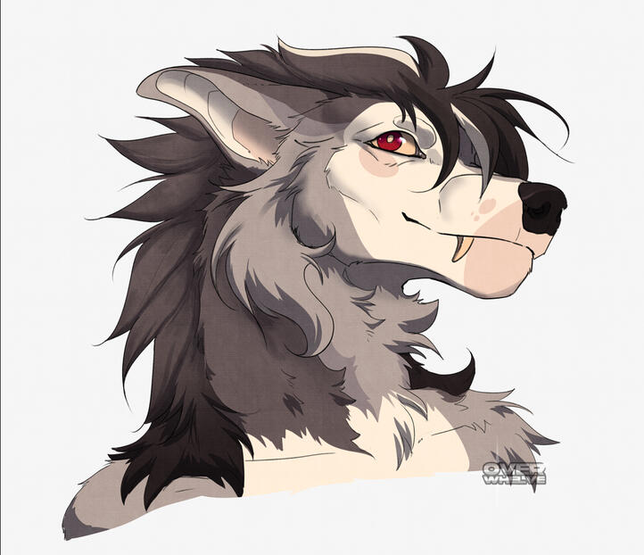 coloured bust
