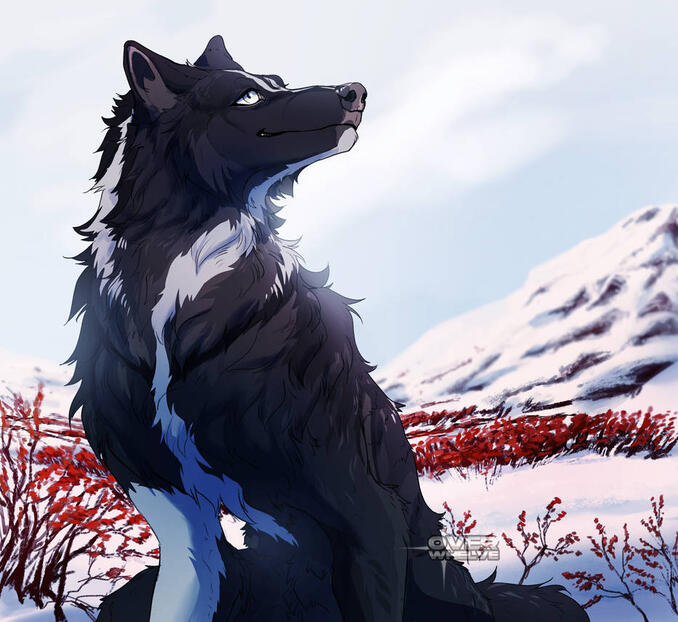 lined illustration with less complex bg